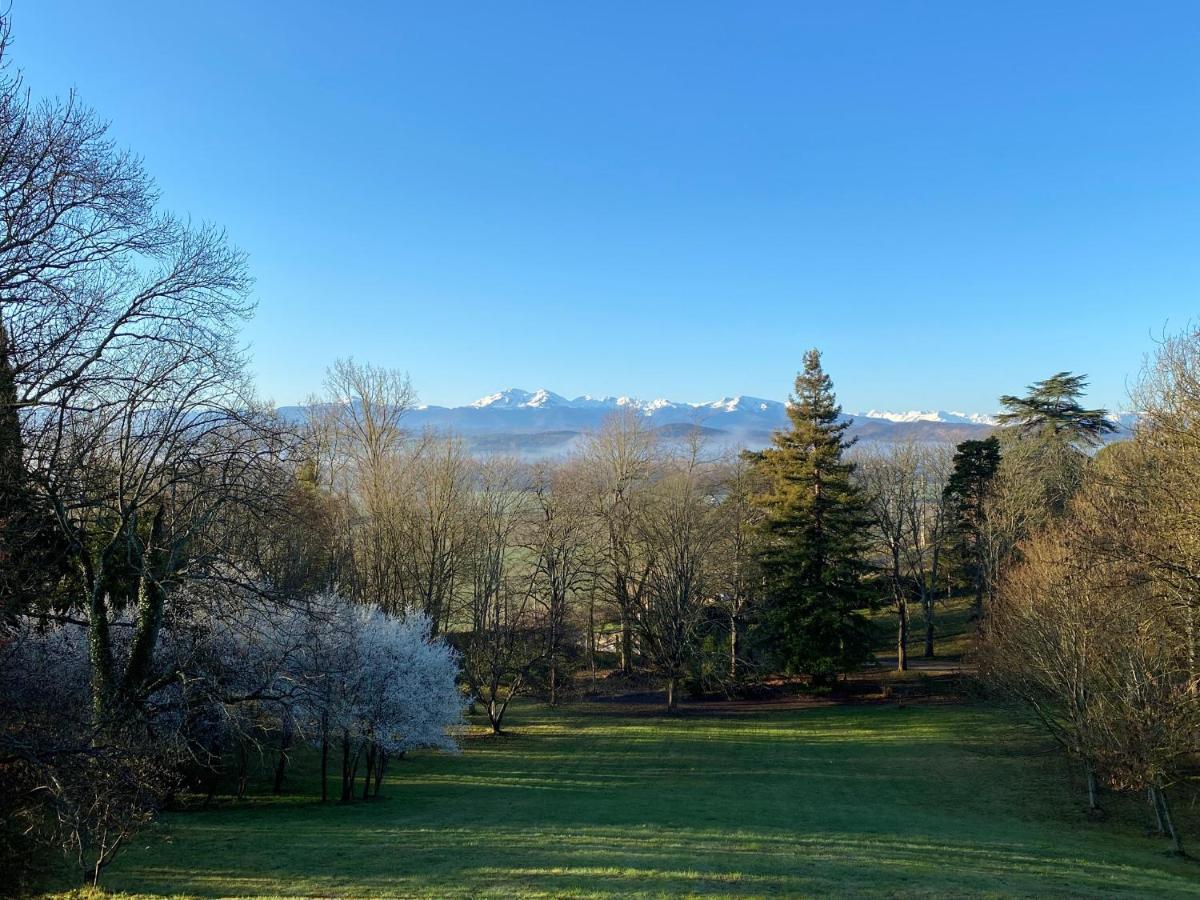 Manoir Et Appartements Avec Piscine Au Domaine De Bize Mirepoix Mirepoix  Bagian luar foto