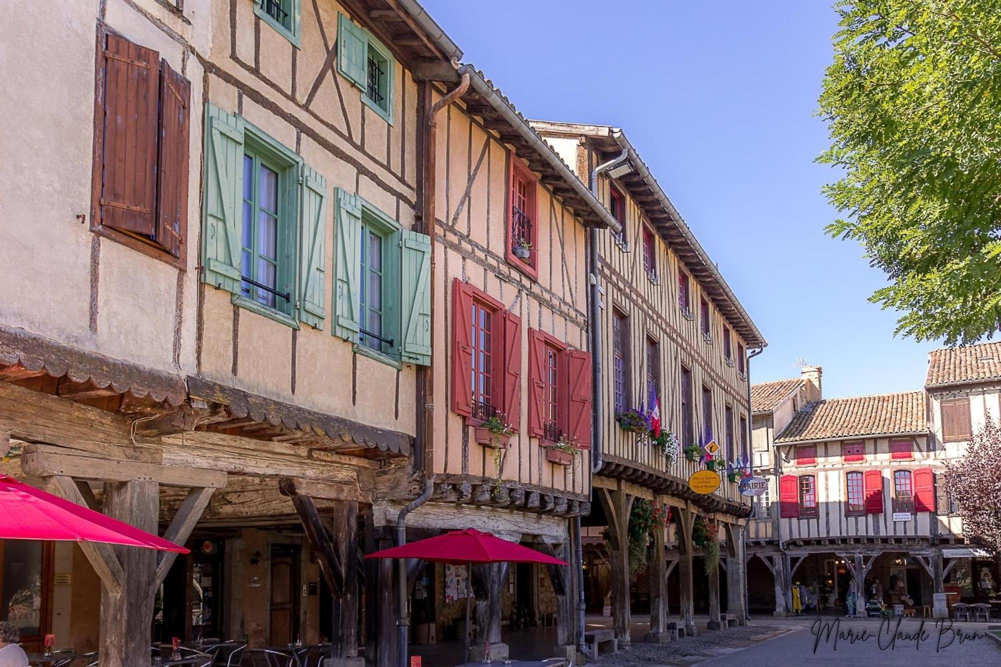 Manoir Et Appartements Avec Piscine Au Domaine De Bize Mirepoix Mirepoix  Bagian luar foto
